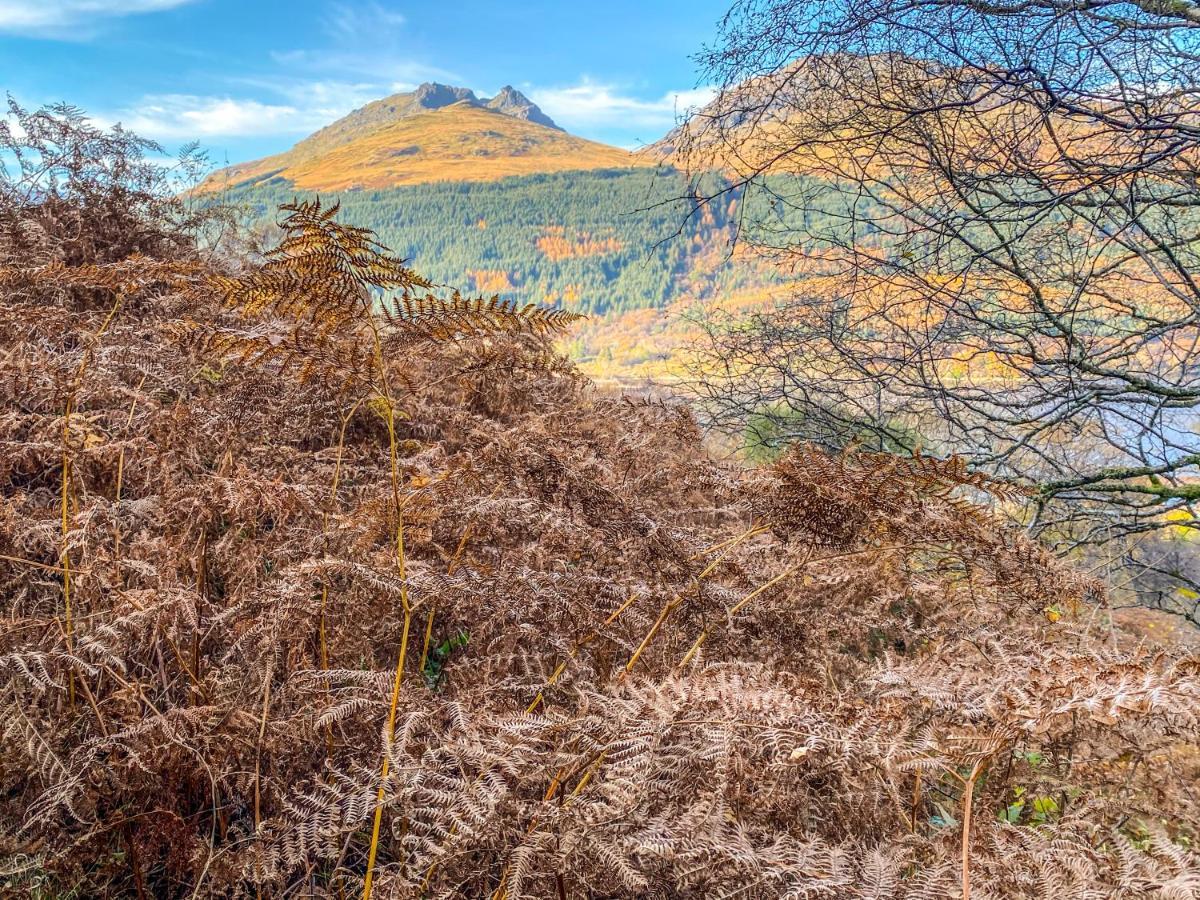An Corr, Arrochar Bed & Breakfast ภายนอก รูปภาพ
